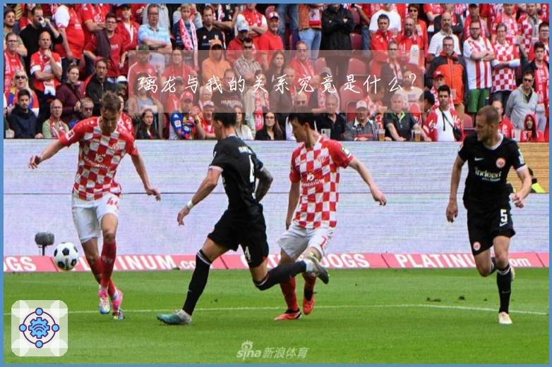 璃龙与我的关系究竟是什么？