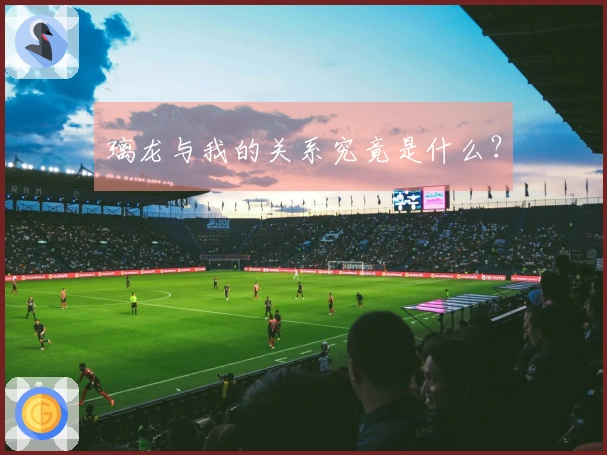 璃龙与我的关系究竟是什么？