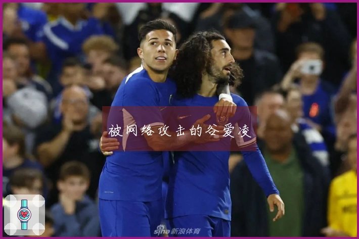 被网络攻击的谷爱凌