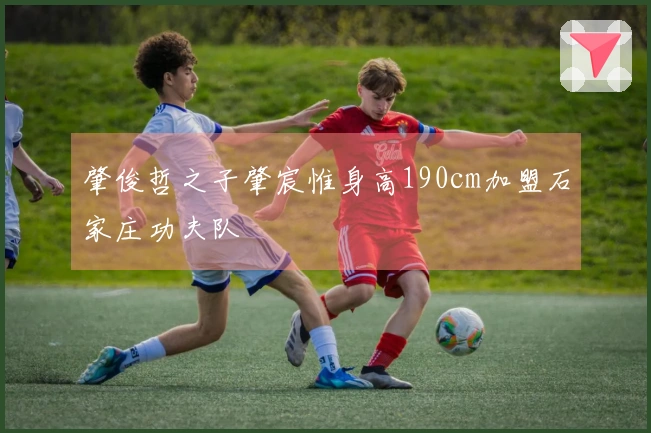 肇俊哲之子肇宸惟身高190cm加盟石家庄功夫队